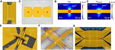 Plasmonics for microwave photonics in the THz range